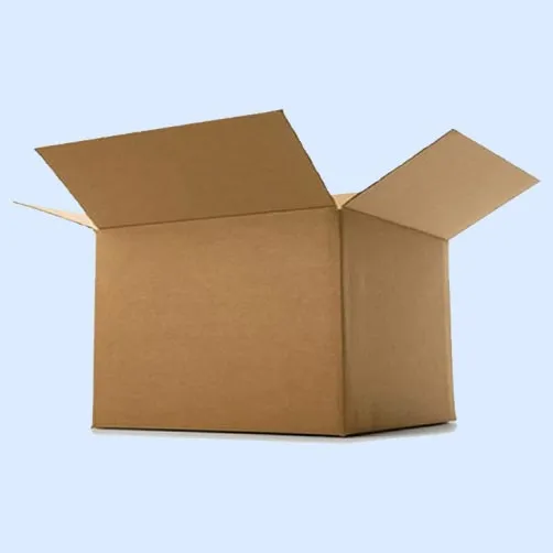 Vegetable & Fruit Box In Ahmedabad