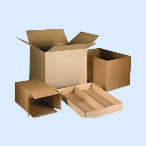 Rectangular Vegetable & Fruit Packaging Box In Ahmedabad